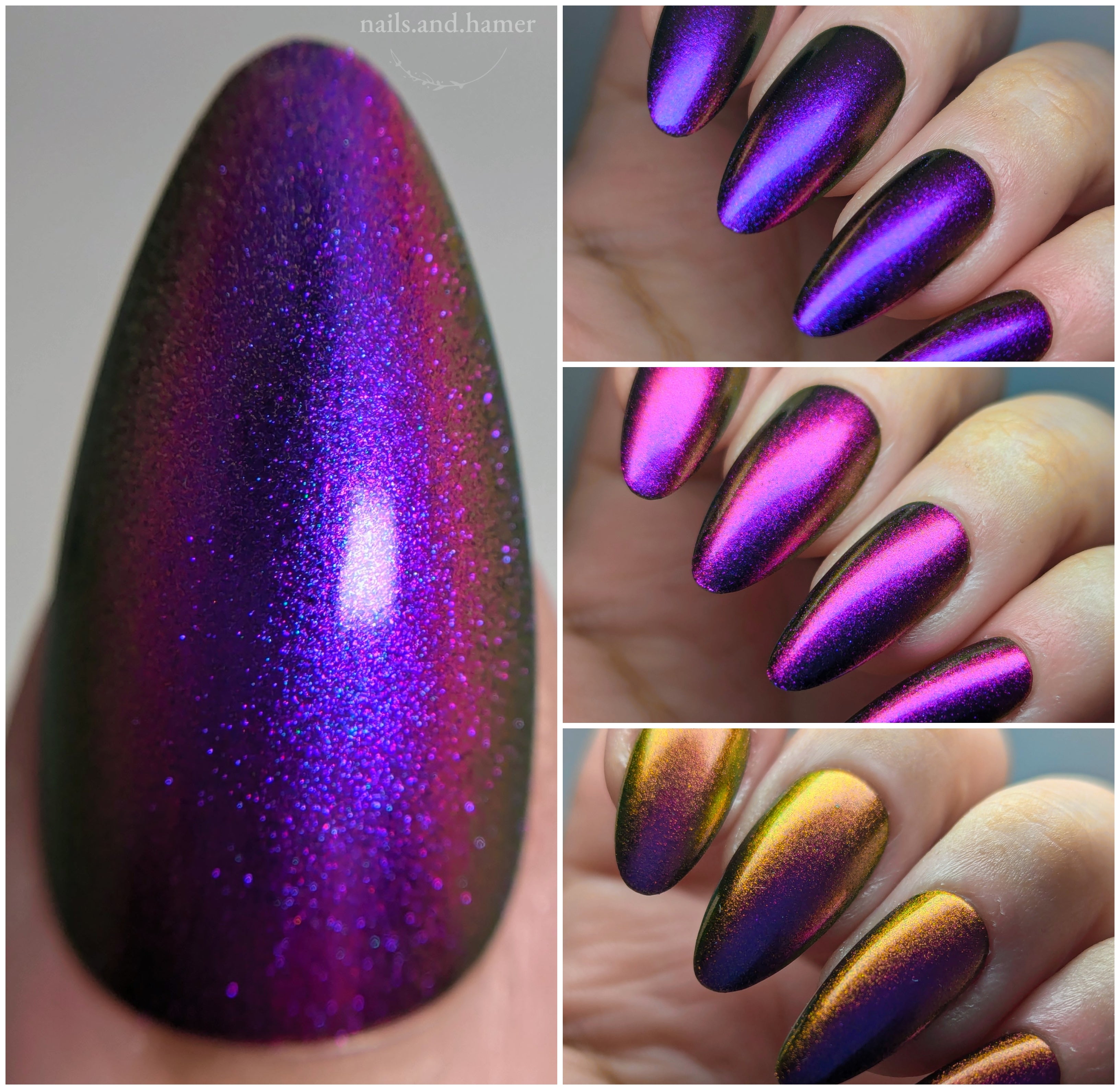 Sassy Sauce Polish | Eccentric