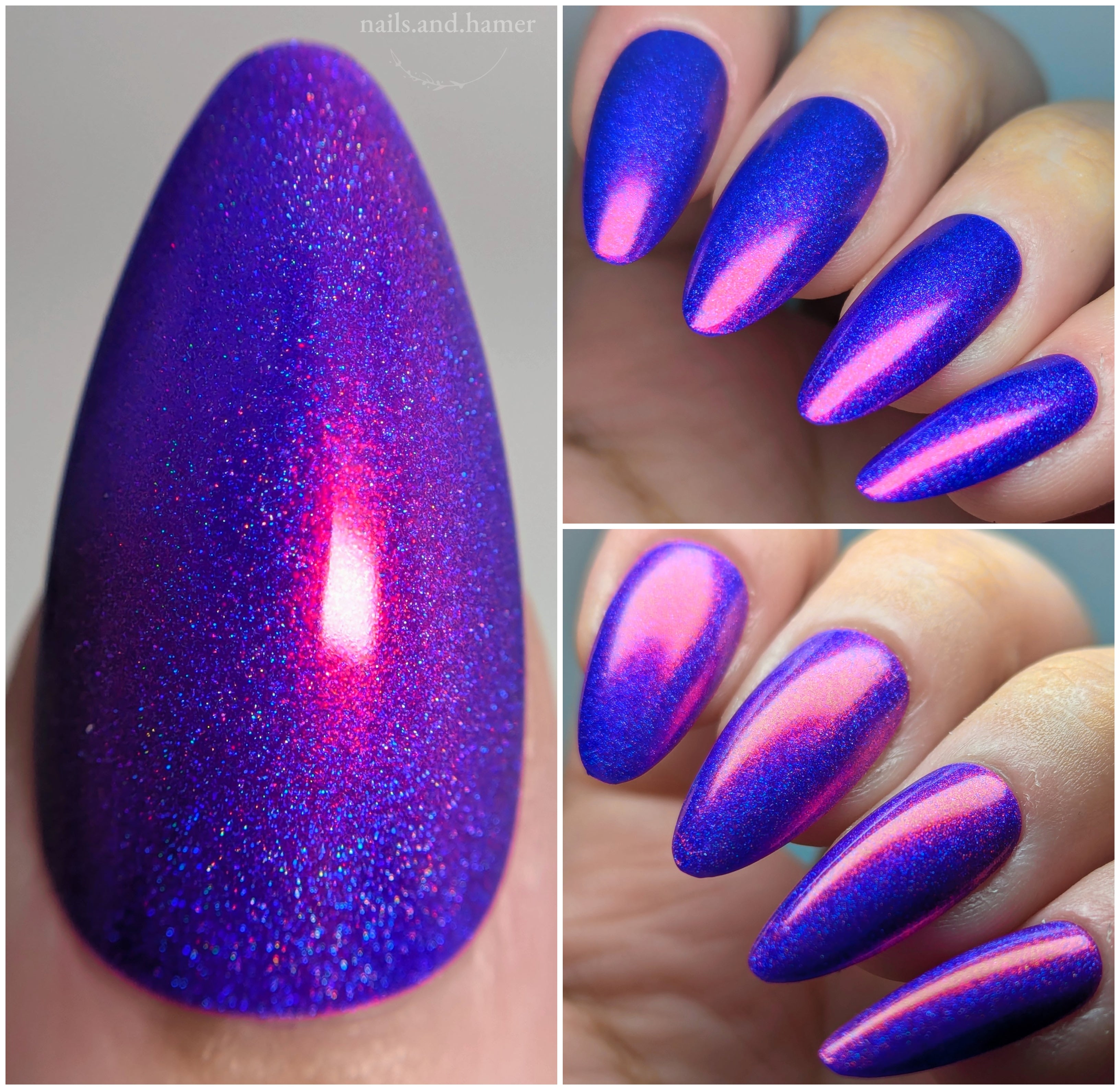 Sassy Sauce Polish | Dissimulation