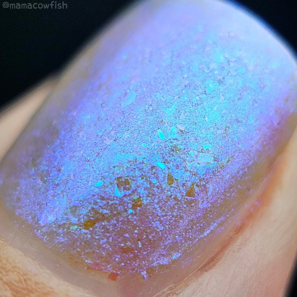 Sassy Sauce Polish | Shimmy Shake