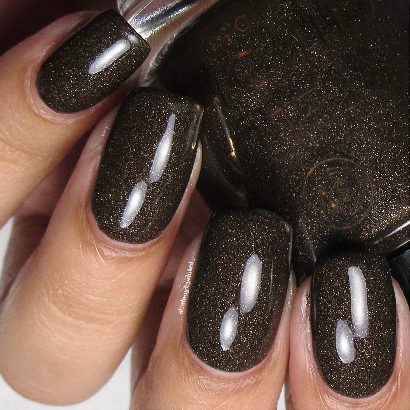 Stella Chroma | Hot Cocoa