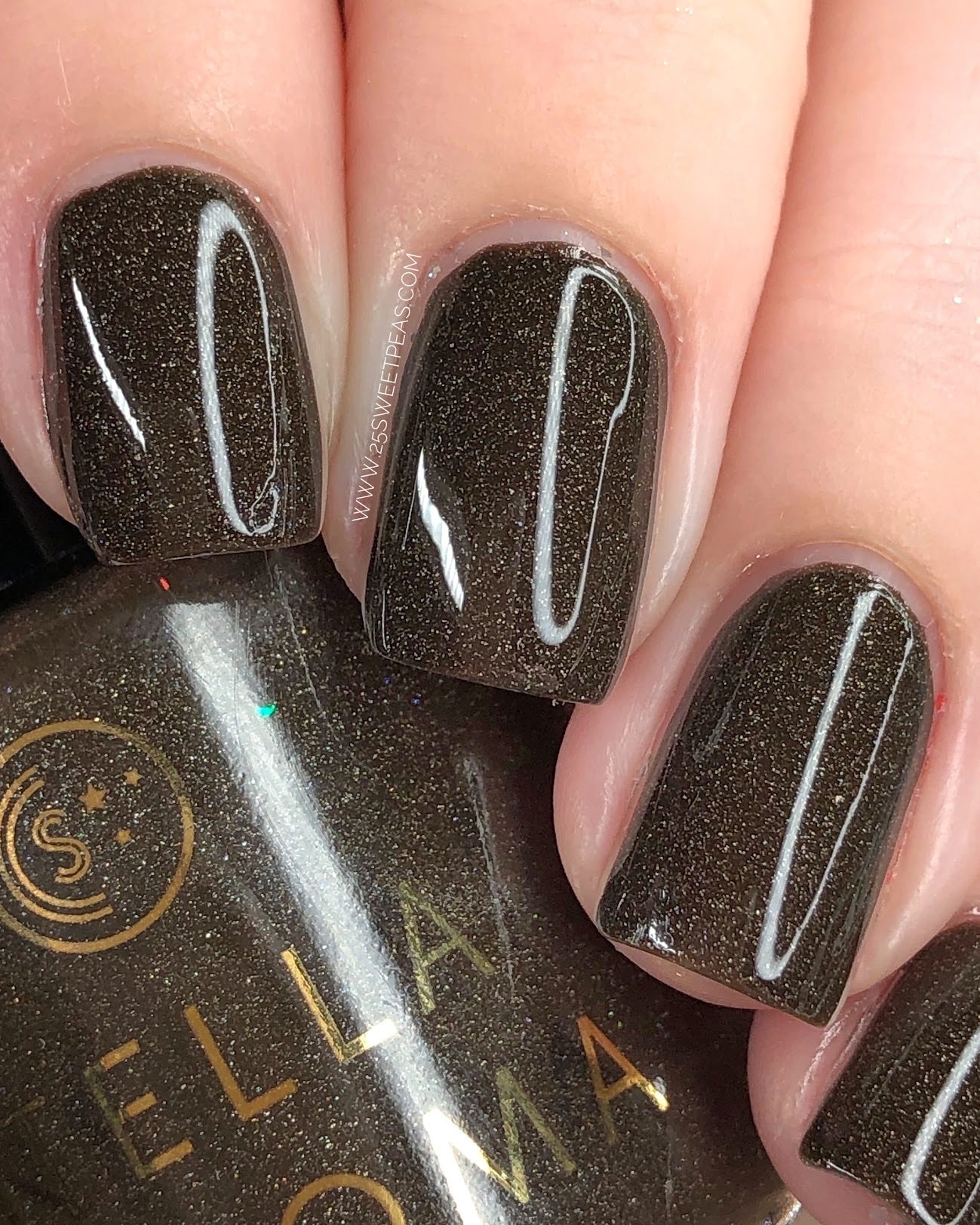 Stella Chroma | Hot Cocoa