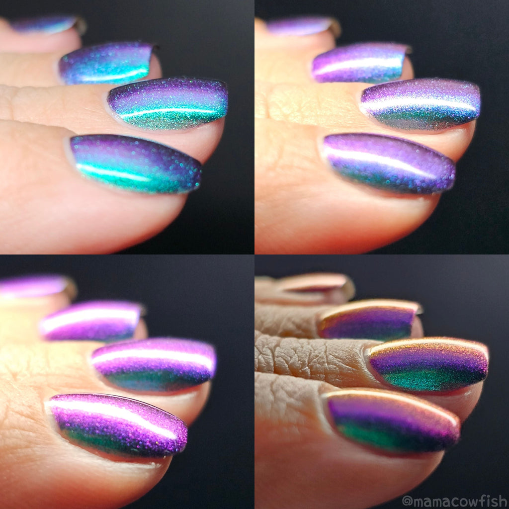 Sassy Sauce Polish | Hypnotic
