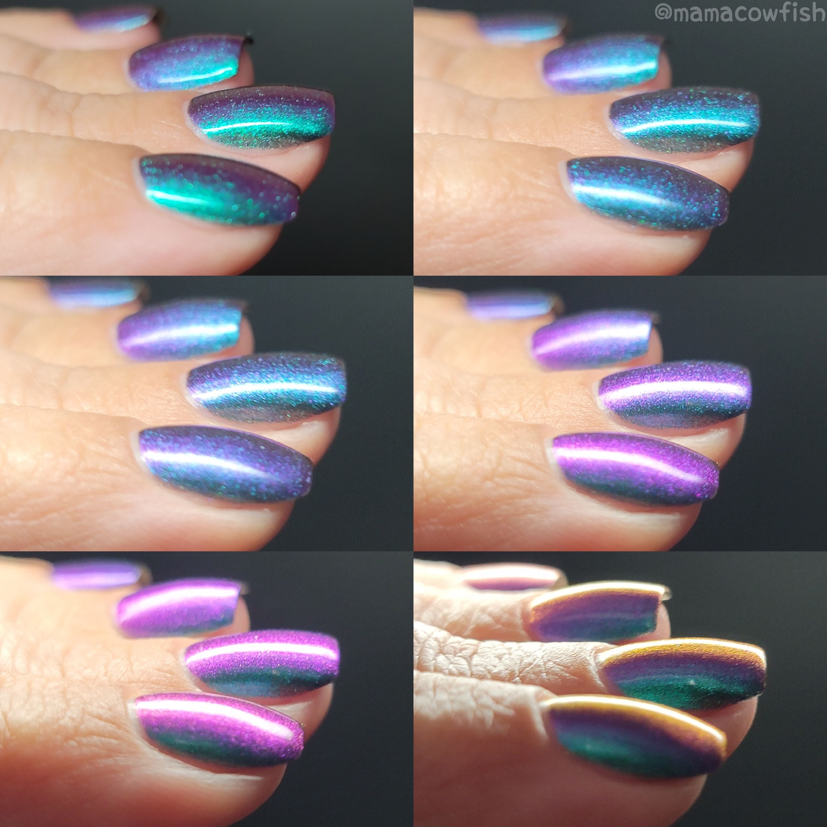 Sassy Sauce Polish | Hypnotic