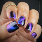 Sassy Sauce Polish | Exxxpose
