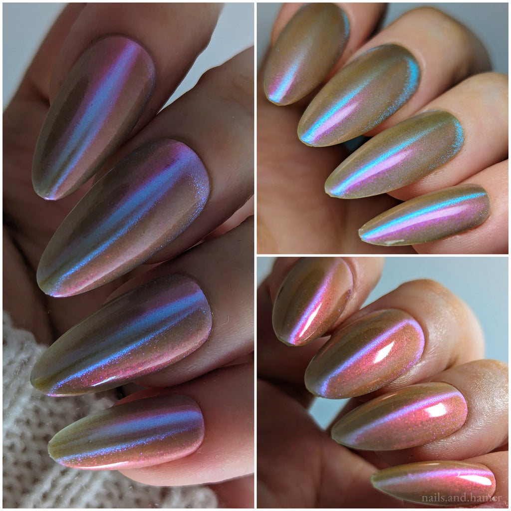 Sassy Sauce Polish | Kisses to my X's