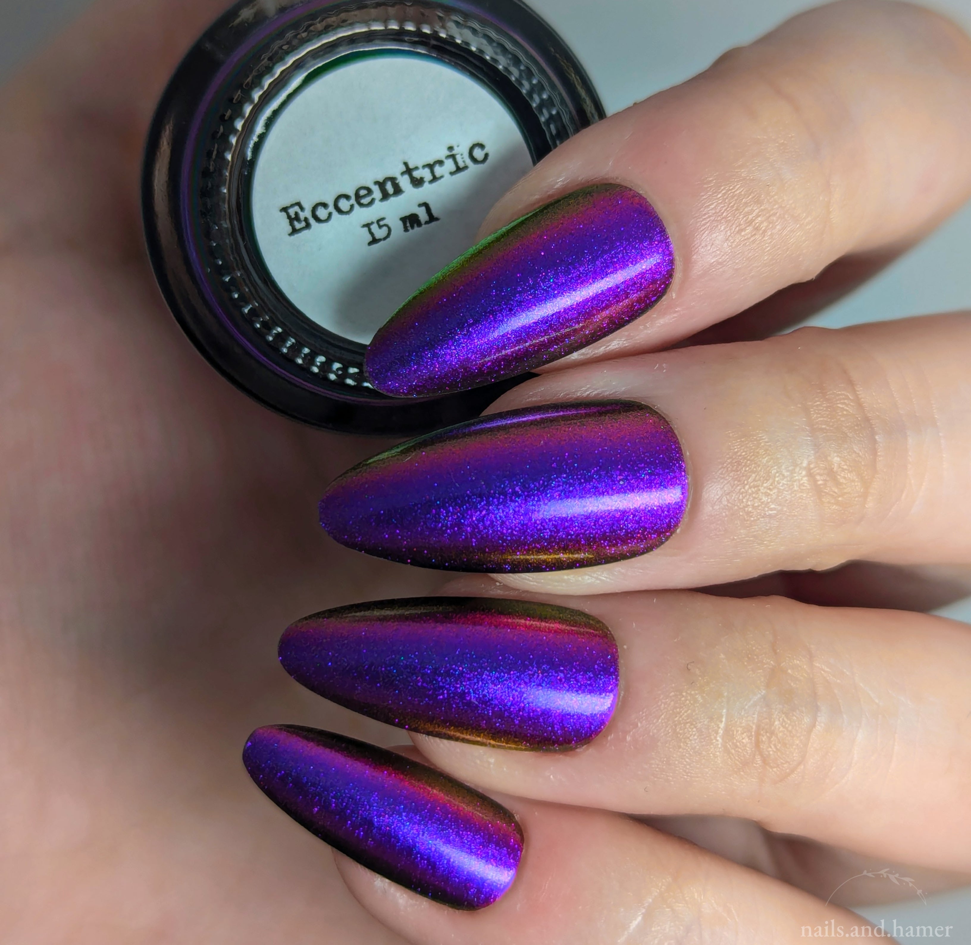 Sassy Sauce Polish | Eccentric