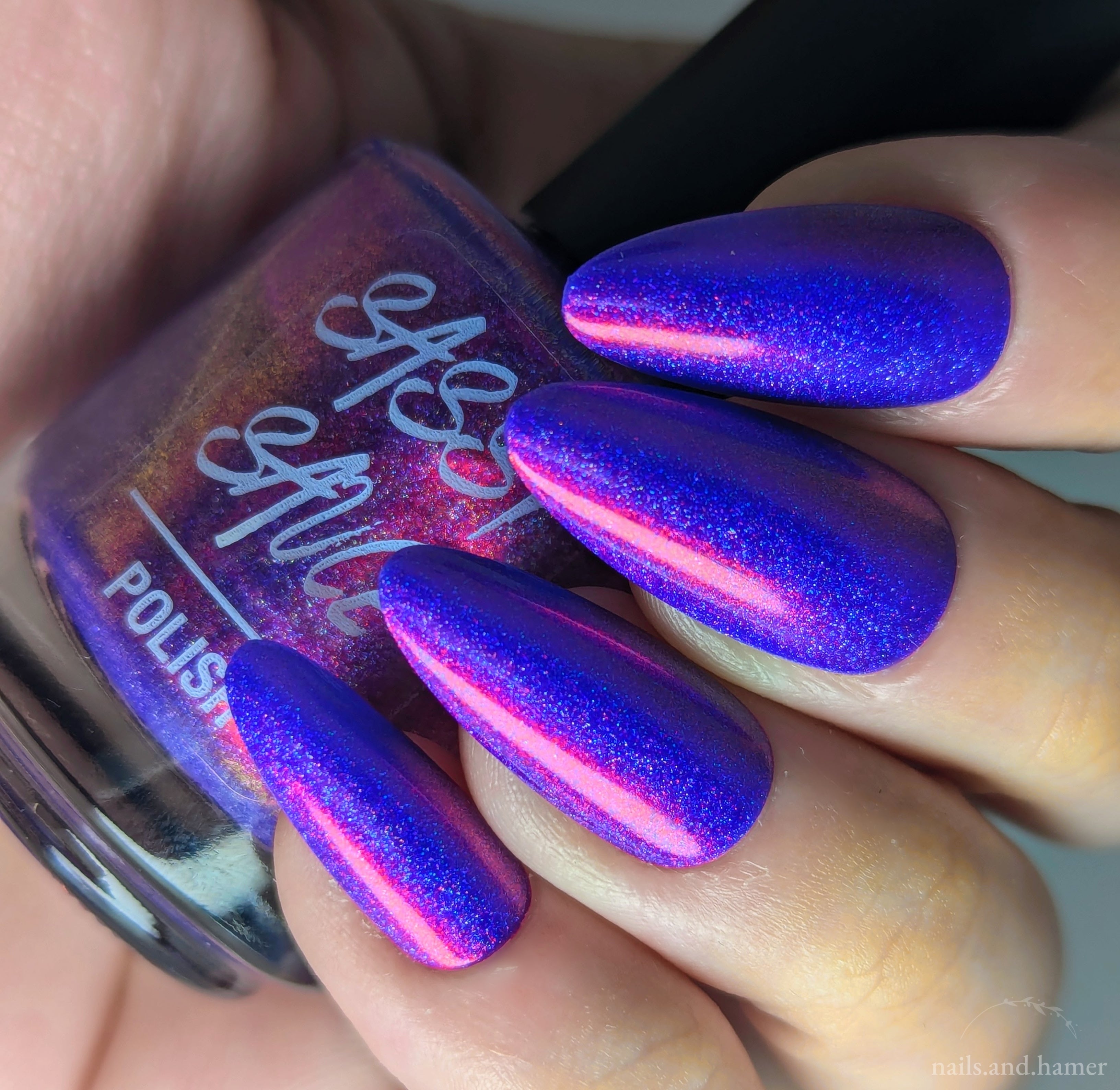 Sassy Sauce Polish | Dissimulation