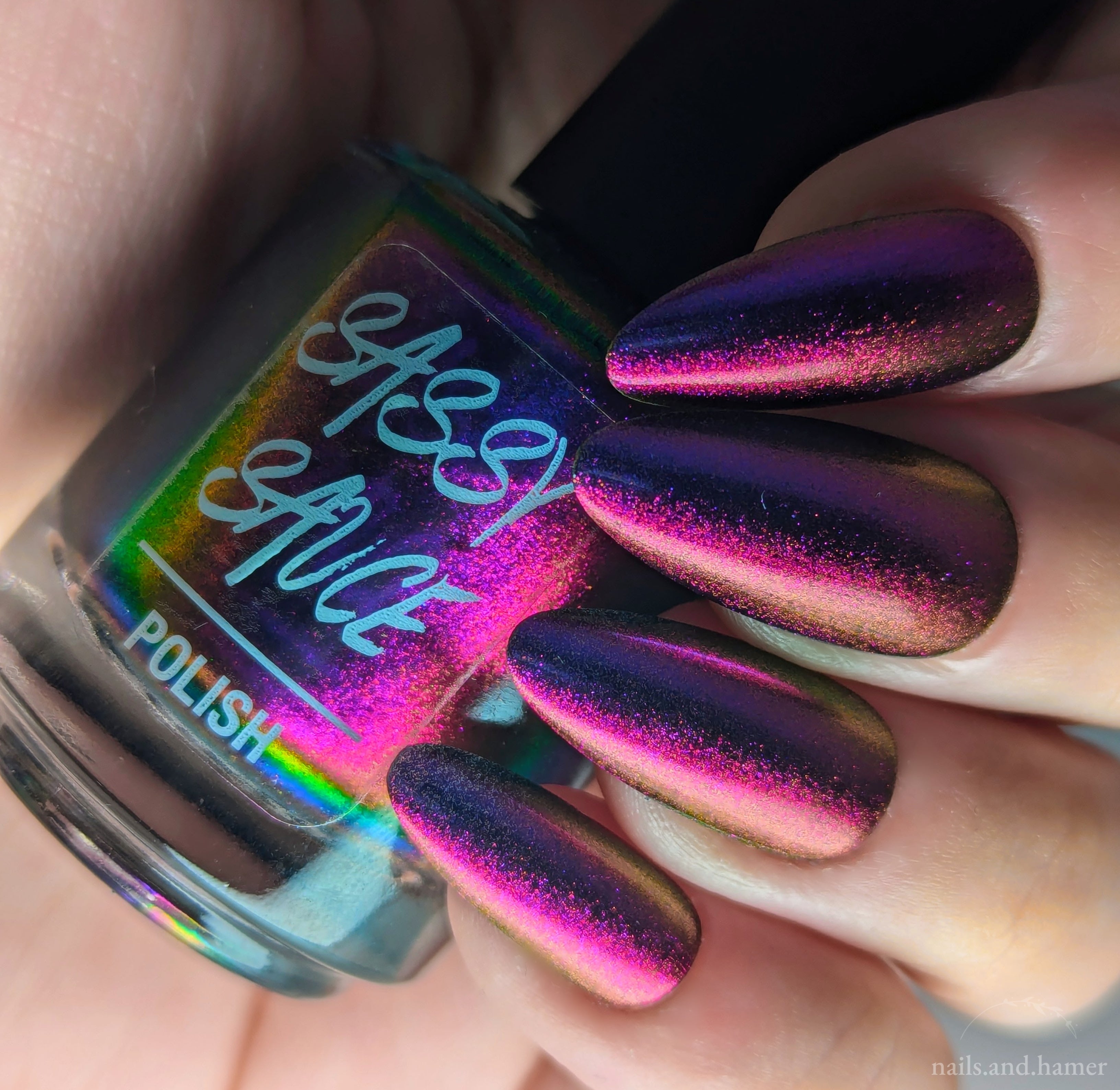 Sassy Sauce Polish | Eccentric