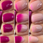 Sassy Sauce Polish | Insta French