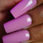 PI Colors | Pink Biscotti.462
