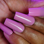 PI Colors | Pink Biscotti.462