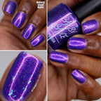 Sassy Sauce Polish | Northerly Island nights