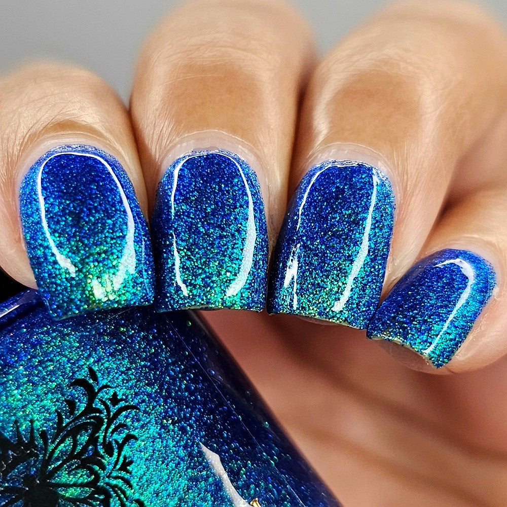 Monarch Lacquer | Polar Playground