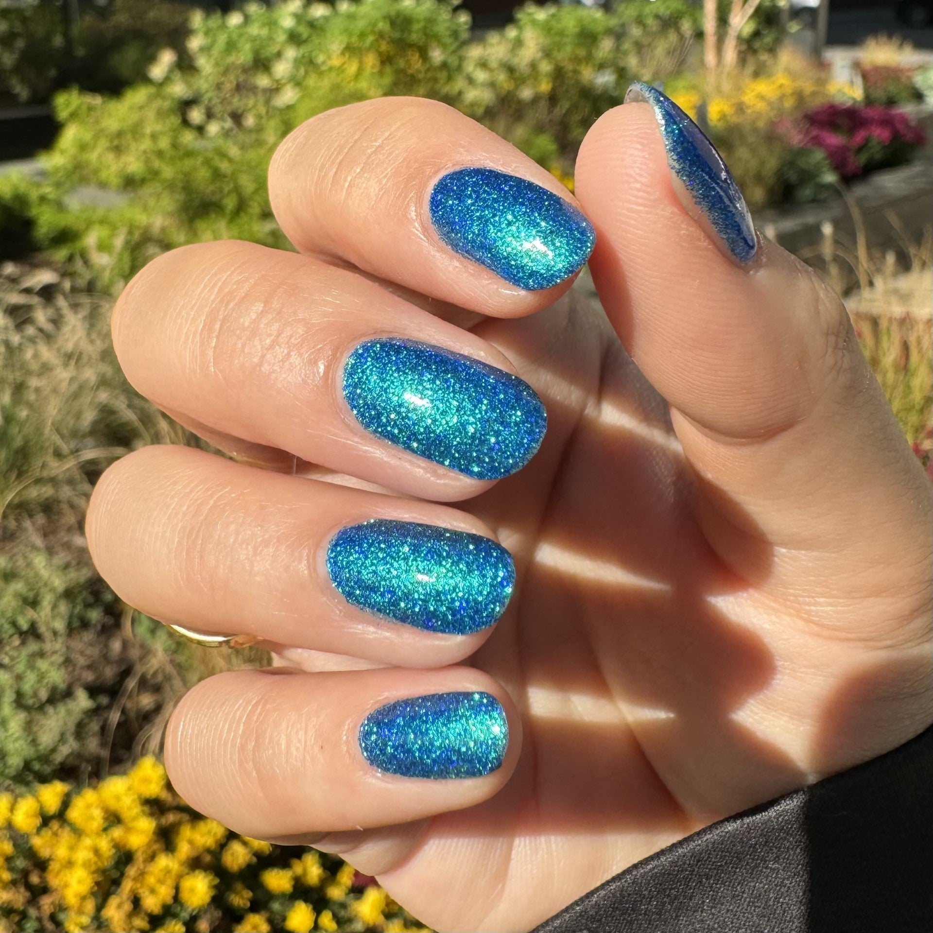 Monarch Lacquer | Polar Playground